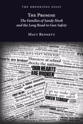 eBook, The Promise : The Families of Sandy Hook and the Long Road to Gun Safety, Brookings Institution Press