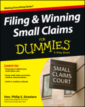 E-book, Filing and Winning Small Claims For Dummies, For Dummies