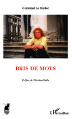 E-book, Bris de mots, Editions L'Harmattan