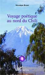 E-book, Voyage poétique au nord du Chili, Brunet, Véronique, Editions L'Harmattan