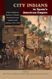 E-book, City Indians in Spain's American Empire : Urban Indigenous Society in Colonial Mesoamerica and Andean South America, 1530-1810, Liverpool University Press