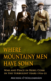 E-book, Where Mountainy Men Have Sown:War and Peace in Rebel Ireland 1916-21, Mercier Press