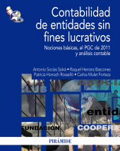 E-book, Contabilidad de entidades sin fines lucrativos : Nociones básicas, el PGC de 2011 y análisis contable, Ediciones Pirámide
