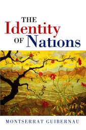 eBook, The Identity of Nations, Polity Press