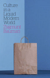 E-book, Culture in a Liquid Modern World, Polity Press