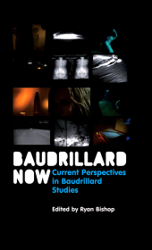 E-book, Baudrillard Now : Current Perspectives in Baudrillard Studies, Polity Press