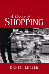 E-book, A Theory of Shopping, Polity Press