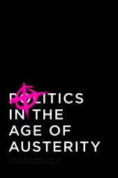 eBook, Politics in the Age of Austerity, Polity Press