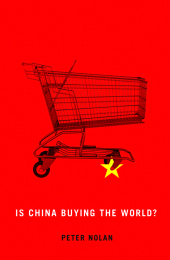 E-book, Is China Buying the World?, Polity Press
