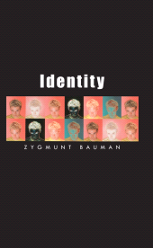 E-book, Identity : Coversations With Benedetto Vecchi, Polity Press