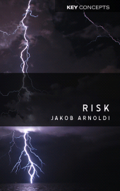 eBook, Risk, Polity Press