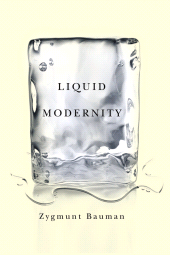 E-book, Liquid Modernity, Polity Press