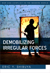 E-book, Demobilizing Irregular Forces, Polity Press