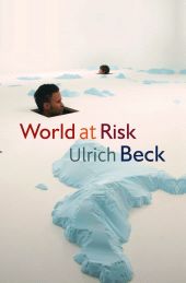 eBook, World at Risk, Polity Press