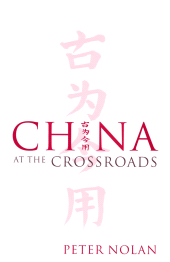 E-book, China at the Crossroads, Polity Press