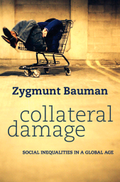 eBook, Collateral Damage : Social Inequalities in a Global Age, Polity Press