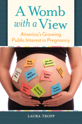 E-book, A Womb with a View : America's Growing Public Interest in Pregnancy, Praeger Publisher