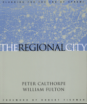 E-book, The Regional City, Princeton University Press