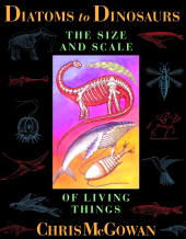 E-book, Diatoms to Dinosaurs : The Size And Scale Of Living Things, Princeton University Press