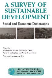 E-book, A Survey of Sustainable Development : Social And Economic Dimensions, Princeton University Press
