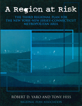 eBook, A Region at Risk : The Third Regional Plan For The New York-New Jersey-Connecticut Metropolitan Area, Princeton University Press
