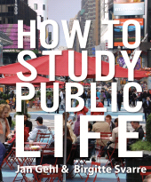 eBook, How to Study Public Life, Princeton University Press