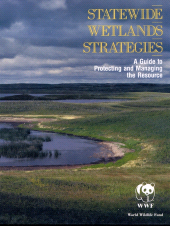 E-book, Statewide Wetlands Strategies, Princeton University Press