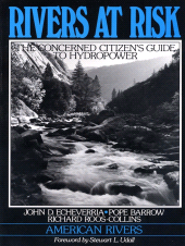 E-book, Rivers at Risk : Concerned Citizen's Guide To Hydropower, Princeton University Press