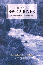 E-book, How to Save a River : A Handbook For Citizen Action, Princeton University Press