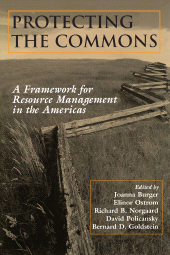 E-book, Protecting the Commons : A Framework For Resource Management In The Americas, Princeton University Press