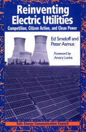 E-book, Reinventing Electric Utilities : Competition, Citizen Action, and Clean Power, Princeton University Press