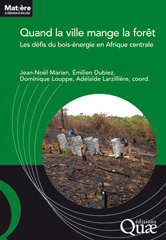 eBook, Quand la ville mange la forêt : Les défis du bois-énergie en Afrique centrale, Éditions Quae