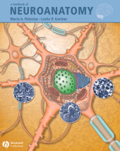 E-book, A Textbook of Neuroanatomy, Patestas, Maria A., Wiley