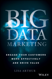 E-book, Big Data Marketing : Engage Your Customers More Effectively and Drive Value, Wiley