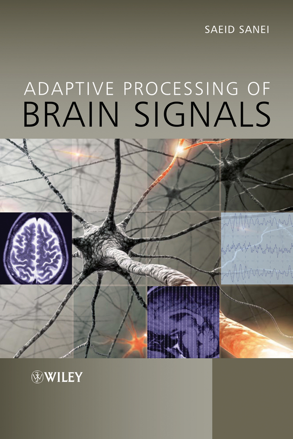 E-book, Adaptive Processing of Brain Signals, John Wiley & Sons