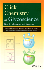E-book, Click Chemistry in Glycoscience : New Developments and Strategies, John Wiley & Sons