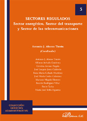 eBook, Sectores regulados : sector energético, sector del transporte y sector de las telecomunicaciones, Dykinson