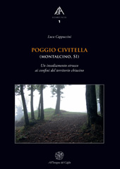 E-book, Poggio Civitella (Montalcino, SI) : un insediamento etrusco ai confini del territorio chiusino, All'insegna del giglio