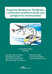 E-book, Paquetes dinámicos : problemas y soluciones jurídicas desde una perspectiva internacional, Dykinson