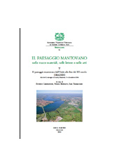 Chapter, L'evoluzione dei paesaggi fluviali del Po mantovano nel Novecento, L.S. Olschki