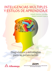 E-book, Inteligencias múltiples y estilos de aprendizaje : Diagnóstico y estrategias para su potenciación, Alpha Editorial