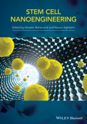 E-book, Stem-Cell Nanoengineering, Blackwell