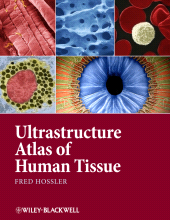 E-book, Ultrastructure Atlas of Human Tissues, Blackwell