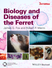 E-book, Biology and Diseases of the Ferret, Blackwell