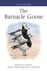 E-book, The Barnacle Goose, Black, Jeffrey M., Bloomsbury Publishing
