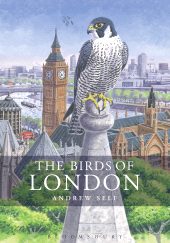E-book, The Birds of London, Helm