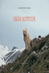 E-book, High altitude, Gangemi