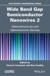 E-book, Wide Band Gap Semiconductor Nanowires 2 : Heterostructures and Optoelectronic Devices, ISTE