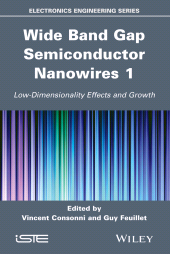eBook, Wide Band Gap Semiconductor Nanowires 1 : Low-Dimensionality Effects and Growth, ISTE