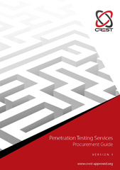 eBook, Penetration Testing Services Procurement Guide, IT Governance Publishing